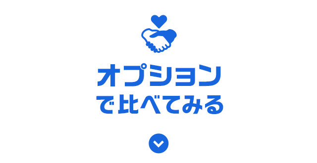 オプションで比べてみる